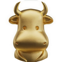OX Zodiak China 2026 eskiz1
