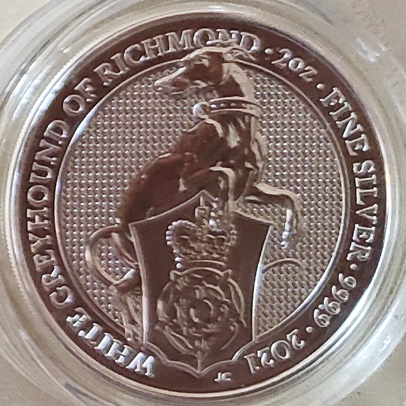 10 White Geyhaund 2021 1