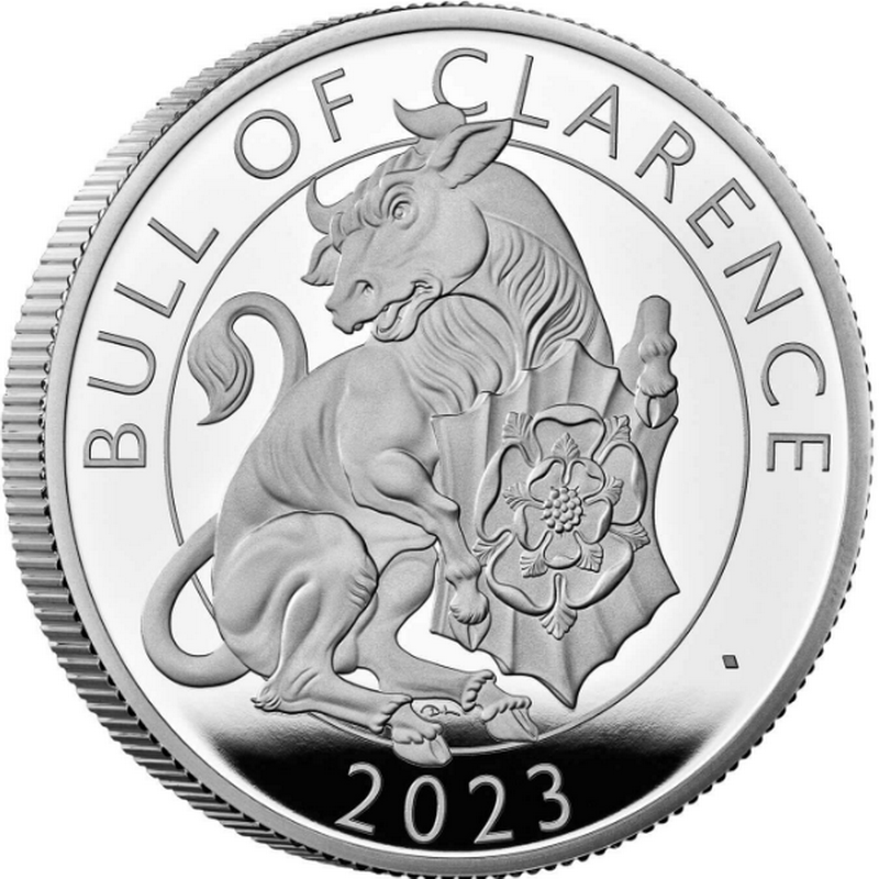 Bull of Clarence 2023 1