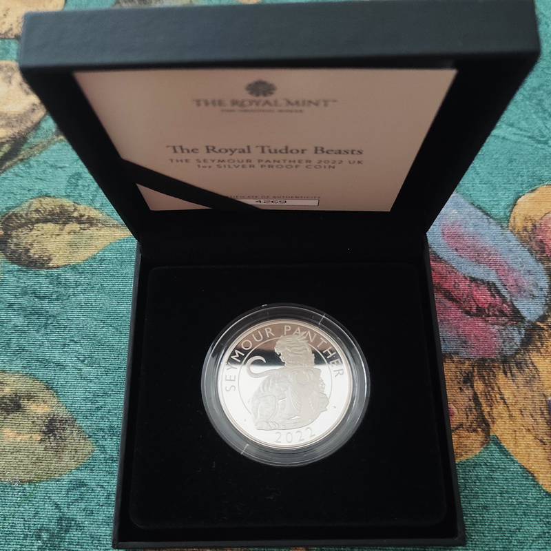Painter 2022 proof 1oz 4