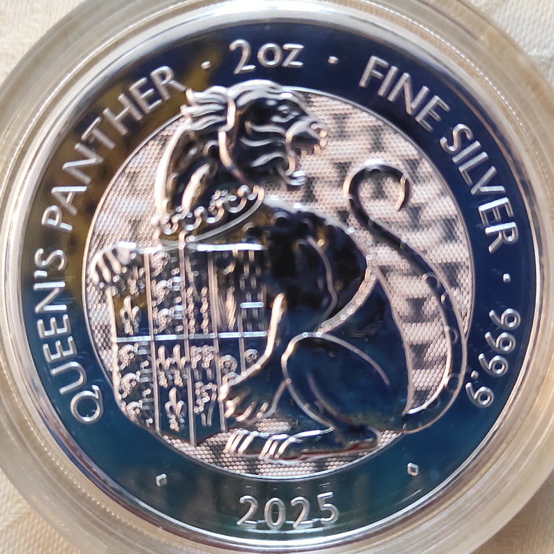 24 Queens Panter 2025 1