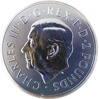 Georg 1oz 2024 eskiz2
