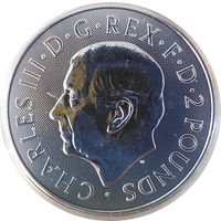 Georg 1oz 2025 eskiz2