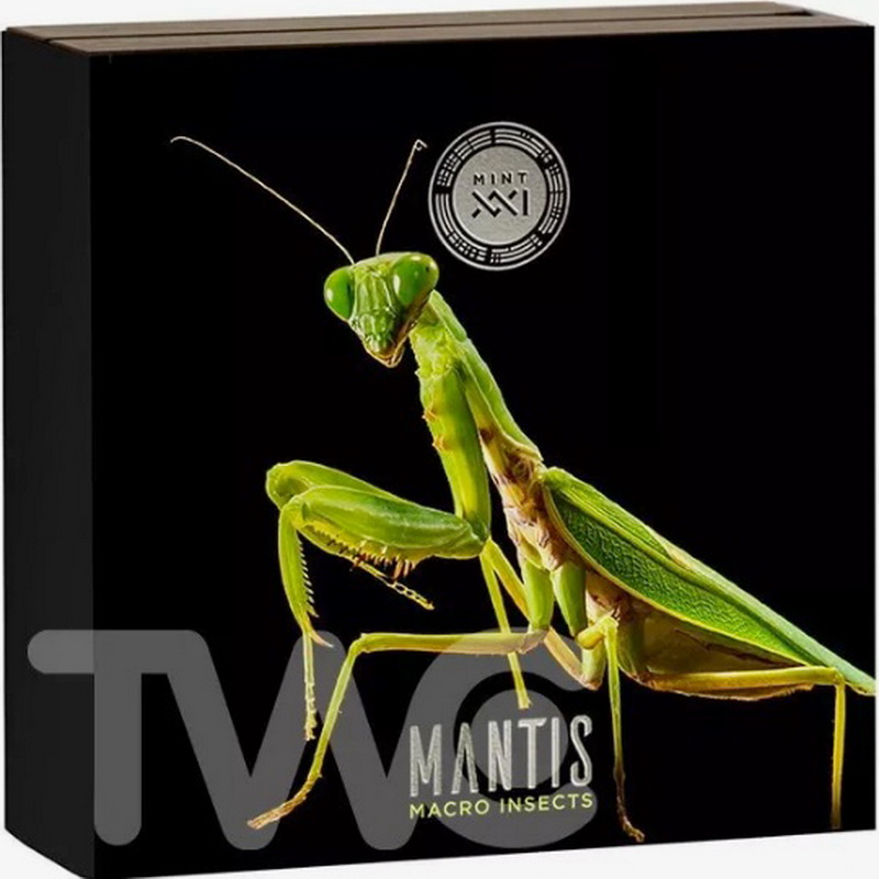 Mantis Macro Insects 4