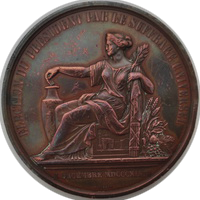 Napoleon III Eltction 1848 eskiz2