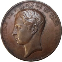 Napoleon IV 1874 eskiz1