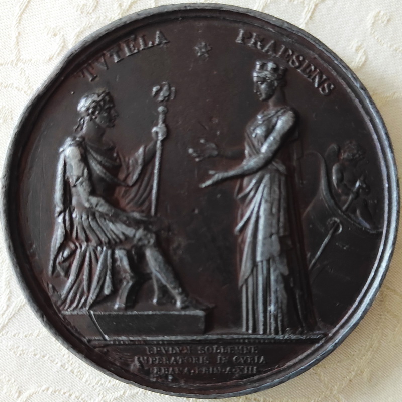 Napoleon I zalizo 2