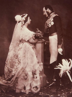 Victoria 5